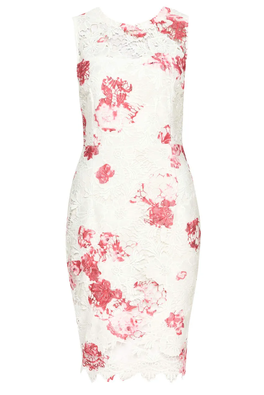 Cream and Pink Floral Lace Bodycon Dress