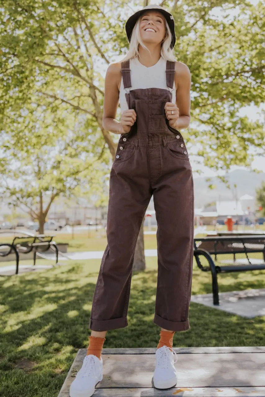 Free People Ziggy Denim Overalls