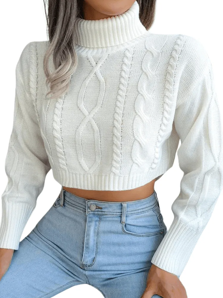 Knit Turtleneck Crop Sweater For Women